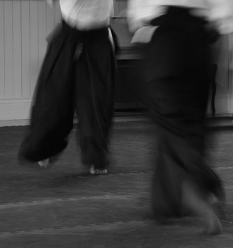 dsc_0269