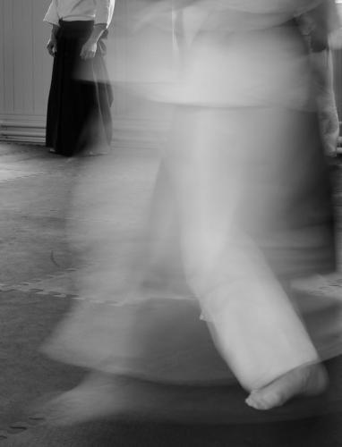 dsc_0372